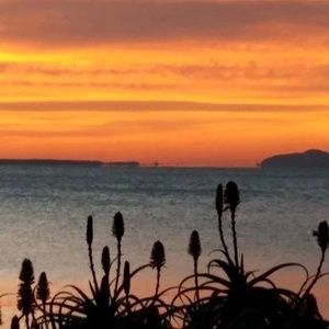 Meet your Posher, Lee